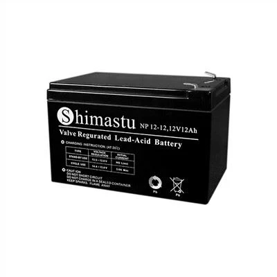 12V nouzová baterie